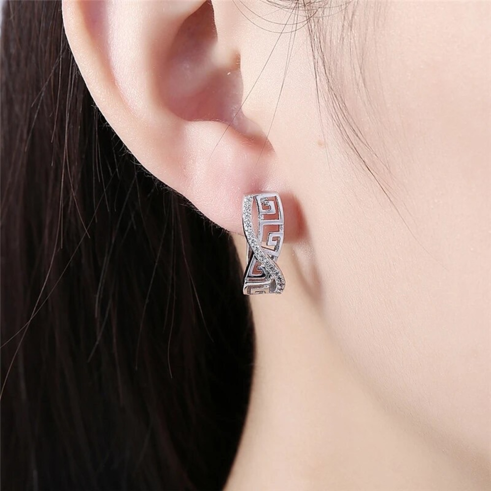 L 925 Sterling Silver Classic AAA Zircon Earrings Fashion For Woman